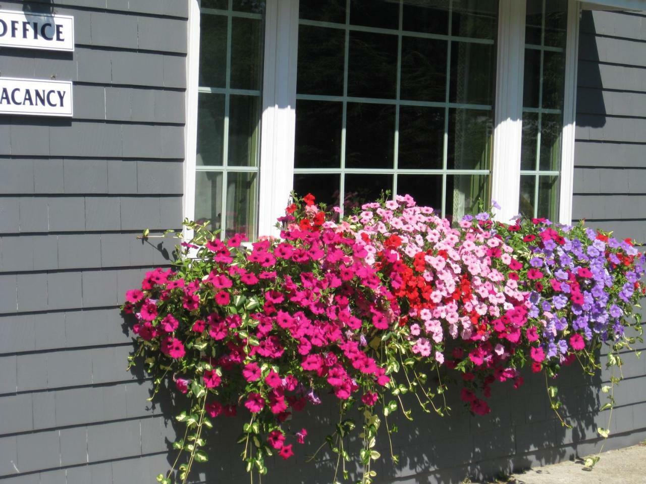 Mid-Town Motel Boothbay Harbor Extérieur photo